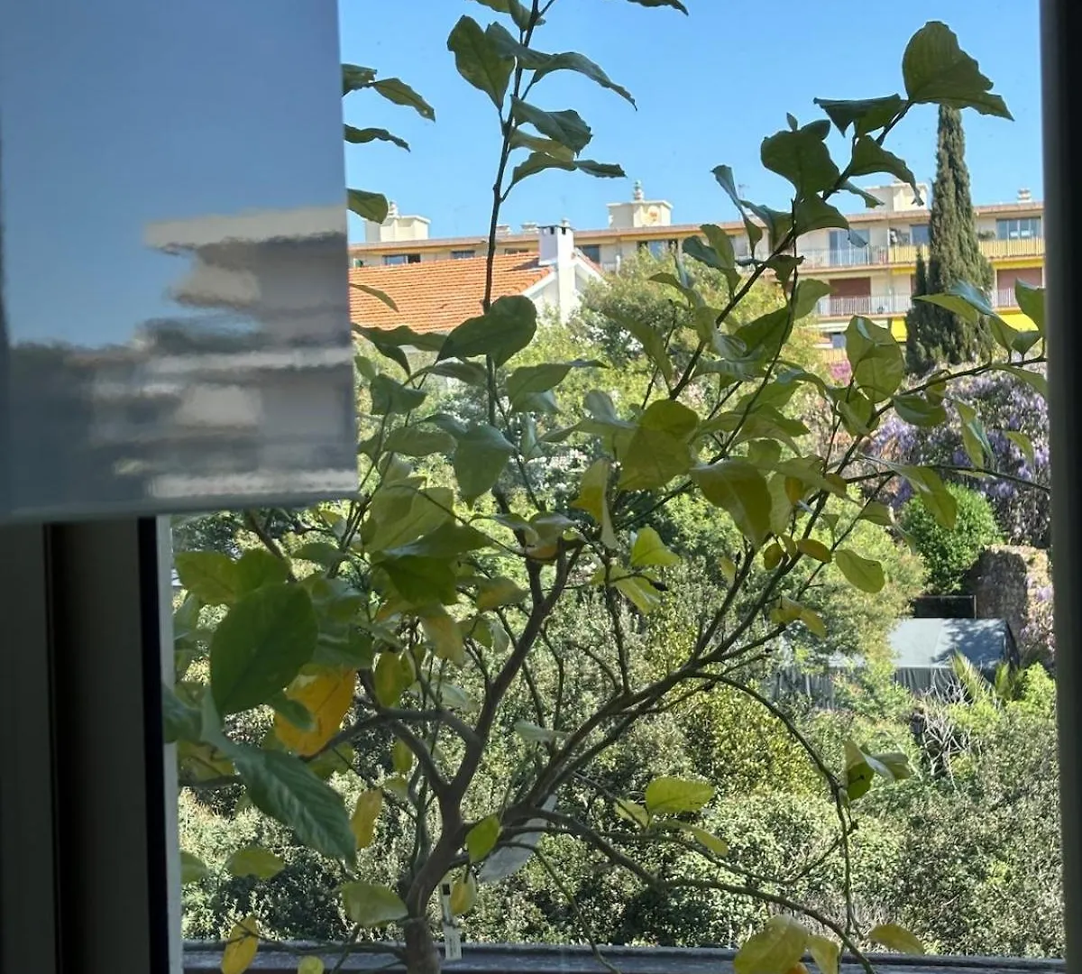 Apartment Cannes Blue Riviera Luxe